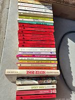 Entire row of paperbacks showing spine titles and publisher colors