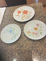 All three porcelain dinner plates on countertop