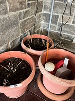 three terracotta-tone plastic planters with soil, dead stems, saucers, and small tools