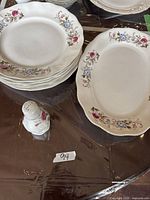 Stack of plates, oval platter and salt shaker showing pattern