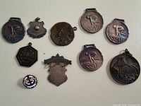 Group view of all medals and pin