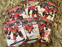 All six Ottawa Senators Upper Deck cards fanned out on countertop