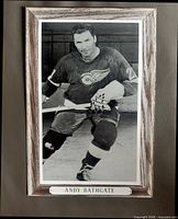 Front view of the Beehive Group 3 Andy Bathgate hockey photo