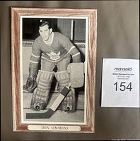 Front of Beehive Group 3 Don Simmons photo showing image, border, and caption.