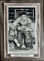 Front of Beehive photo displaying Terry Sawchuck image, border and name plate