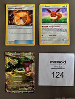 Front view of the three Pokémon cards showing Eevee, Fighting Memory and Rayquaza EX