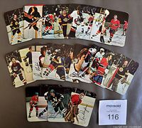 All 22 glossy hockey cards spread out