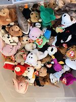 Overhead view of full tote containing assorted small Ty Beanie Babies