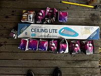 Boxed Liteway ceiling light, ten Philips bulb boxes, outdoor timer package