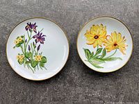 Front view showing both floral plates side by side