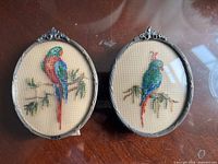 Front view of both framed petitpoint parrot embroideries