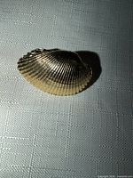 front angled view of goldtone shell scarf clip showing ribbed texture