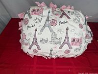 Front of pillow with Paris print