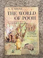 Front cover of The World of Pooh book showing title, author and illustration, visible tear at lower edge of dust jacket