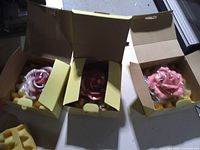 Three boxed porcelain roses