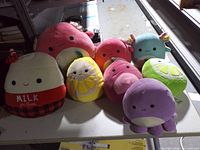 Group shot of all eight Squishmallows on table
