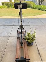 NordicTrack skier full view with succulent on side