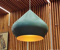 Pendant lamp hanging, showing moss green exterior form