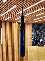 full view of pendant hanging from ceiling