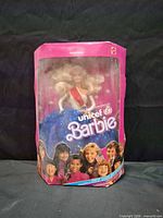 Front view of boxed UNICEF Barbie doll