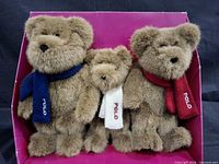 Front view of three brown plush bears with differently coloured scarves inside pink box