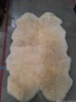 Full view of cream sheepskin quad rug showing shape and pile