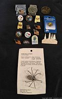 Group shot of all pins, coins and spider pin on black background