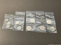 All six plastic bags containing individual coins laid out for overall view