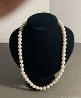 Full view of pearl necklace on display bust
