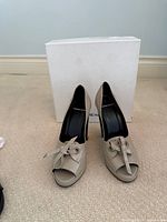 Front view of both heels with box in background