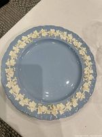 Front of blue charger showing grapevine border