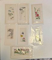 Front view showing all seven hand-painted note cards