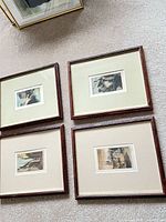 Four framed prints laid out on carpet