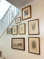 Wall view showing all eight framed prints arranged on staircase wall