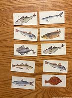 Fronts of all ten cards arranged in two columns showing fish illustrations