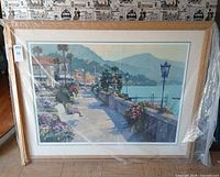 Full view of framed print wrapped in plastic