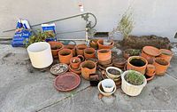 Group view of terracotta pots, saucers, white ceramic pot, rolling stand, hooks, stakes, potted plants