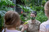Guests interacting with butterfly in conservatory