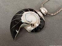 Front view of nautilus shell pendant showing shell pattern and silver setting