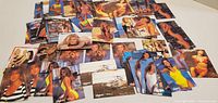 Spread of approximately 70 Portfolio 1993 swimsuit trading cards showing fronts