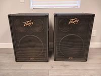 Front view of both Peavey 1516 cabinets showing grilles and logos