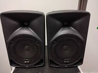 Front view of both Alto TX8 speakers showing grilles and logos