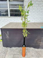 Full view of vase with faux bamboo, showing scale
