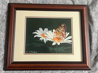 Front view of framed print showing butterfly on daisies