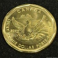 Reverse side with loon design and 2026 date