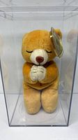 Front view of Hope bear inside clear display box showing full pose and tags
