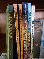 Row of hardcovers showing Black Beauty, three Advanced Dungeons & Dragons manuals and The Dinosaurs