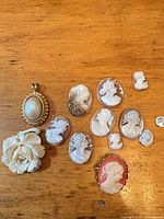 Group shot of all cameo pieces on wooden surface