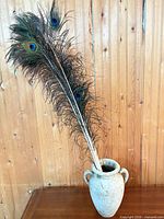 Full view of vase with feathers displayed