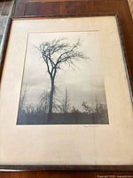 Full view of framed photograph with mat and frame visible